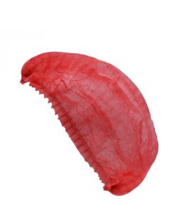 CHARLOTTE CLIP ROUGE X100