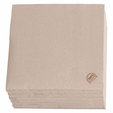 SDT SUN OUATE 40X40 NATURAL X1440